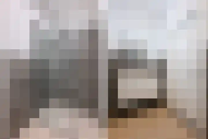 De Constant Rebecquestraat 98 Den Haag thumbnail 12