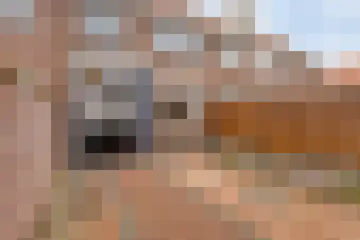 De Cooghstraat 20 Volendam thumbnail 16