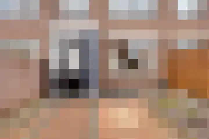 De Cooghstraat 20 Volendam thumbnail 32