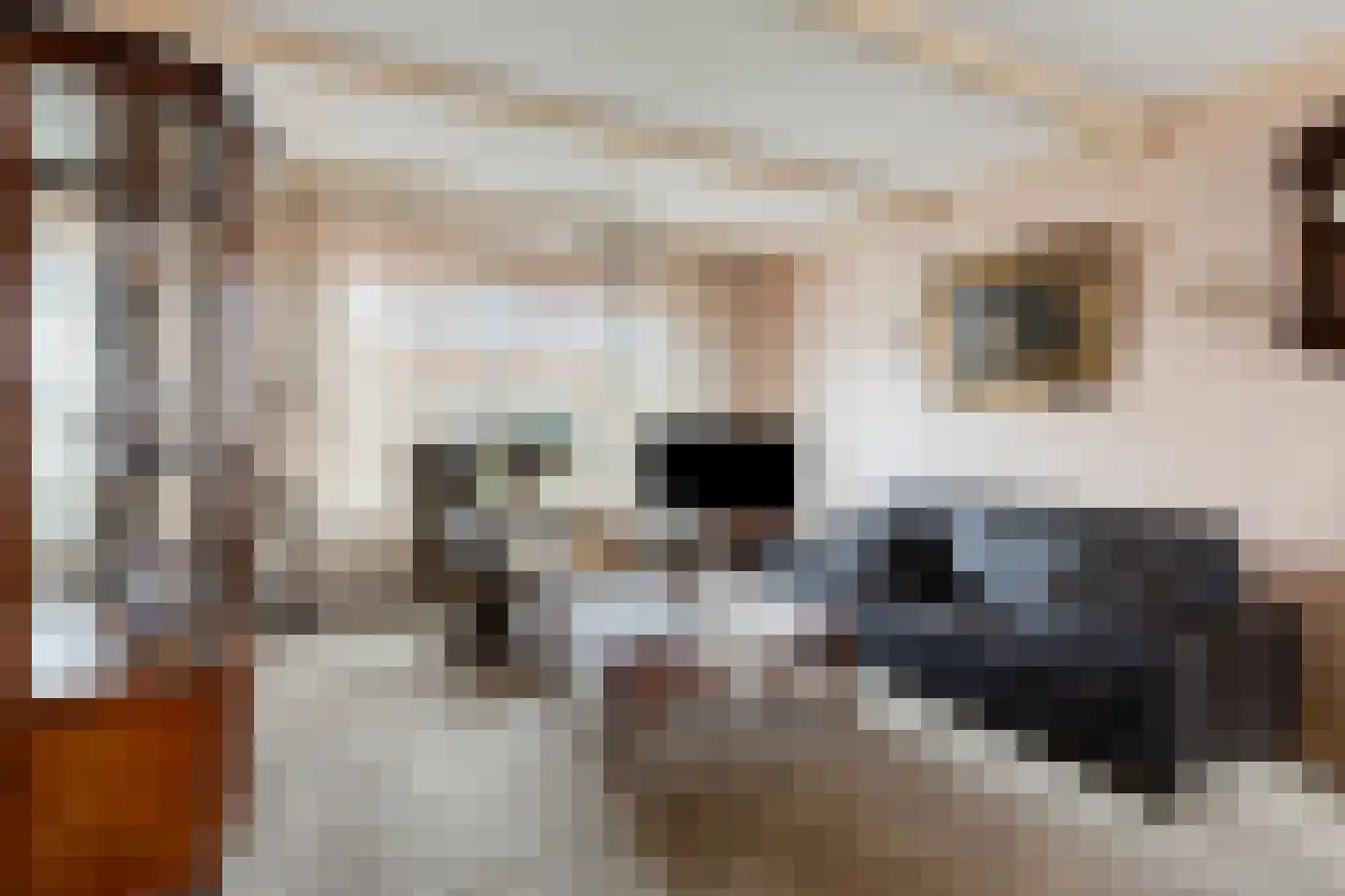 De Cooghstraat 20 Volendam thumbnail 5