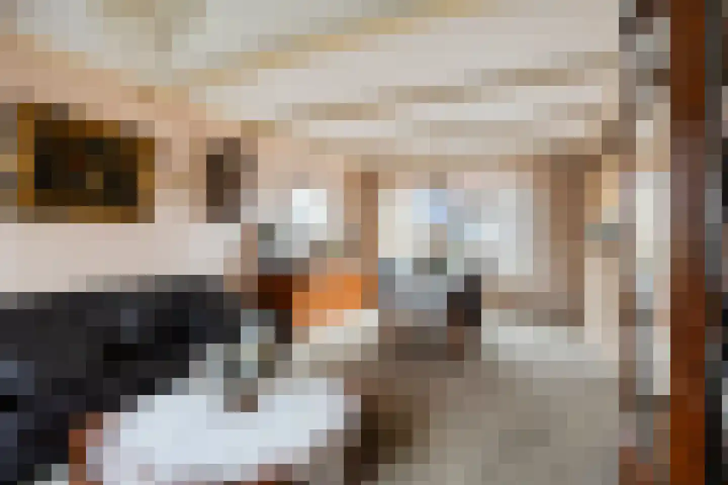 De Cooghstraat 20 Volendam thumbnail 7