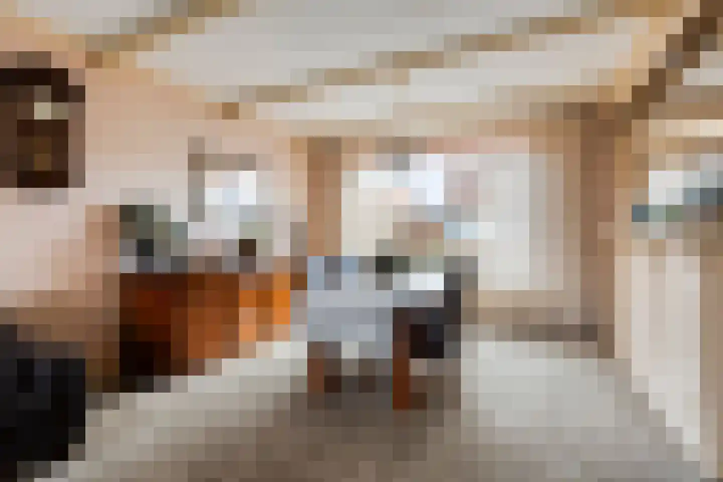 De Cooghstraat 20 Volendam thumbnail 8