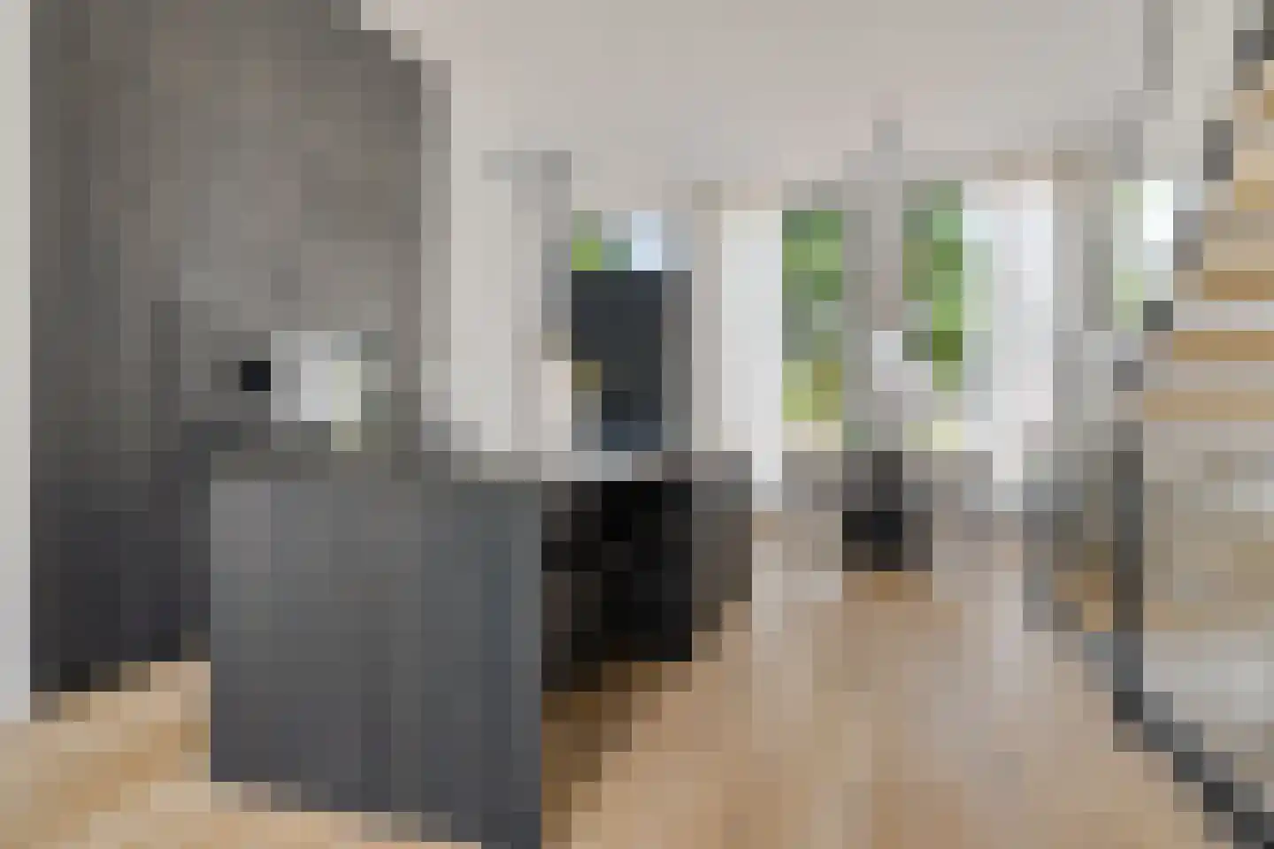De Coöperatie 32 Enschede thumbnail 14
