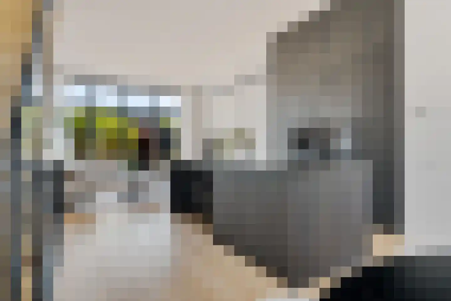 De Coöperatie 32 Enschede thumbnail 17
