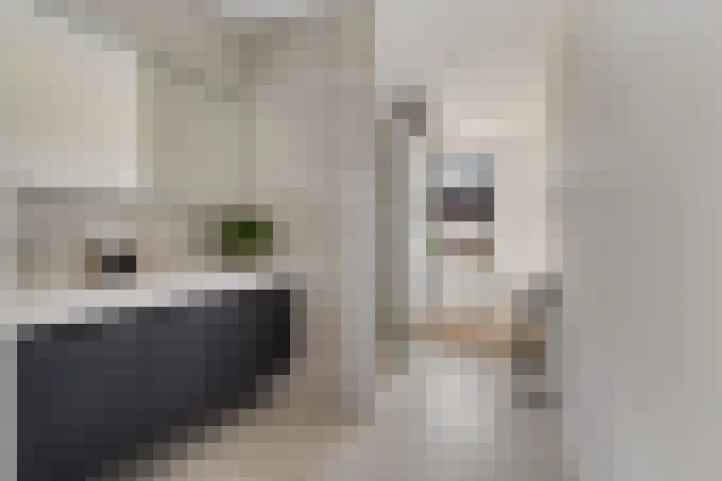 De Coöperatie 32 Enschede thumbnail 5