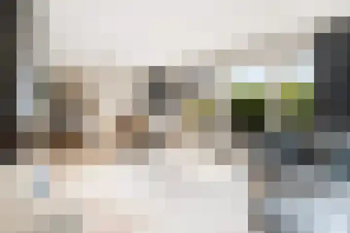 De Cope 16 Montfoort thumbnail 18