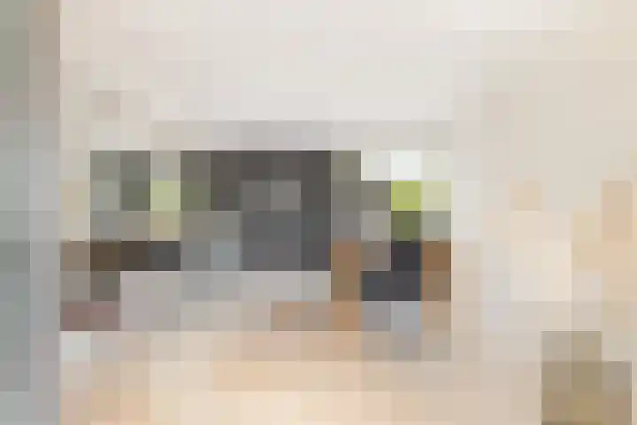 De Cope 16 Montfoort thumbnail 21