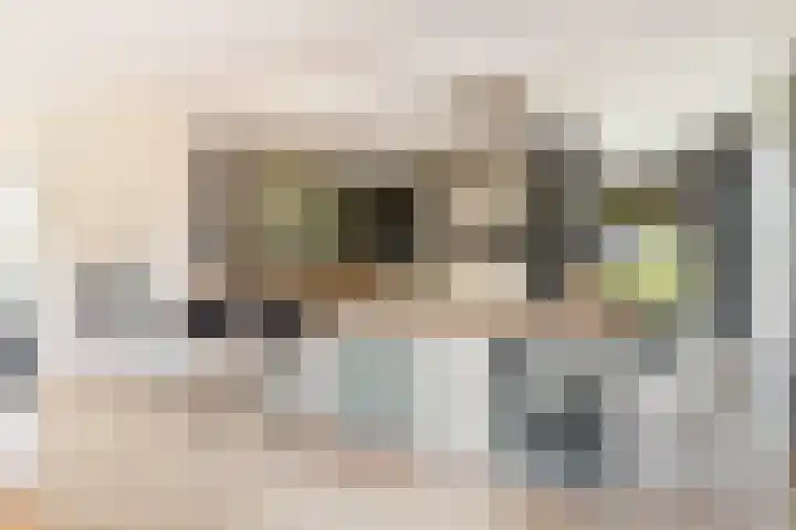 De Cope 16 Montfoort thumbnail 23