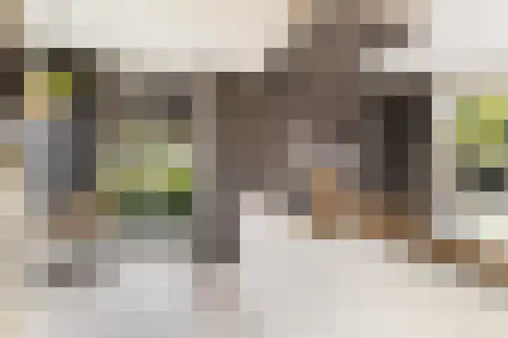 De Cope 16 Montfoort thumbnail 25