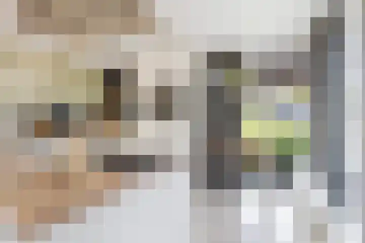 De Cope 16 Montfoort thumbnail 26