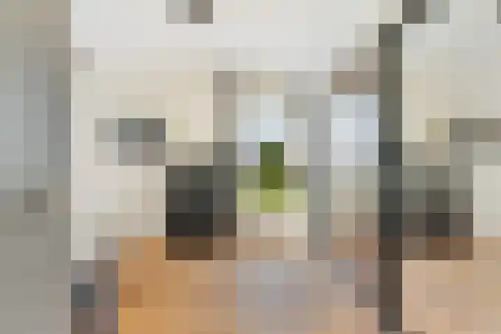 De Cope 16 Montfoort thumbnail 29