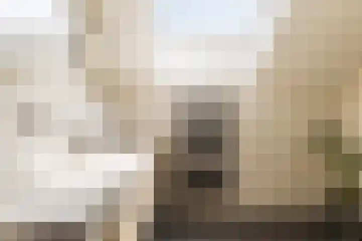 De Cope 16 Montfoort thumbnail 38