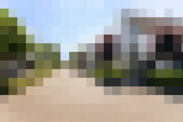 De Cope 16 Montfoort thumbnail 5