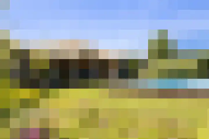 De Cope 16 Montfoort thumbnail 50