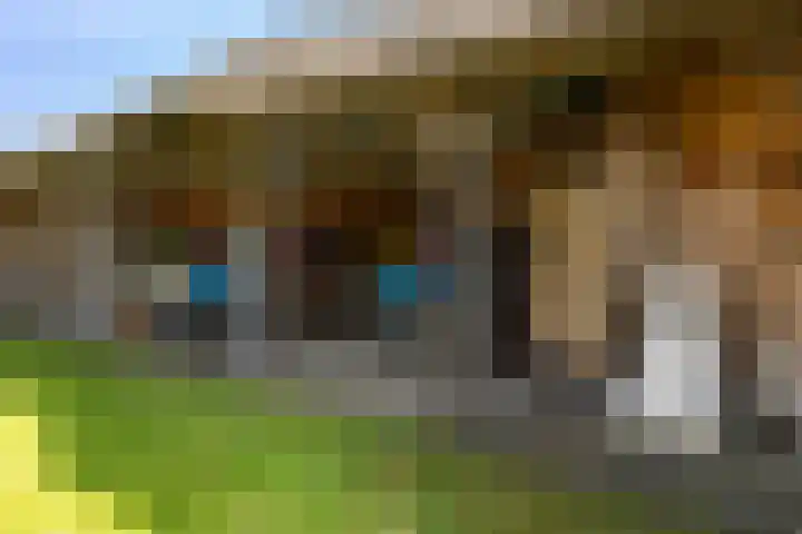 De Cope 16 Montfoort thumbnail 51