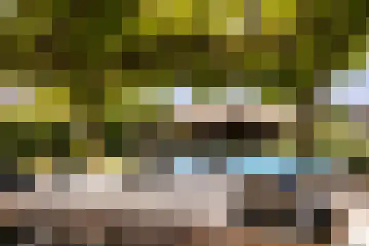 De Cope 16 Montfoort thumbnail 52