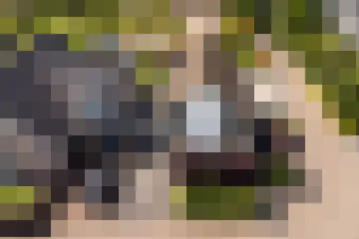 De Cope 16 Montfoort thumbnail 57