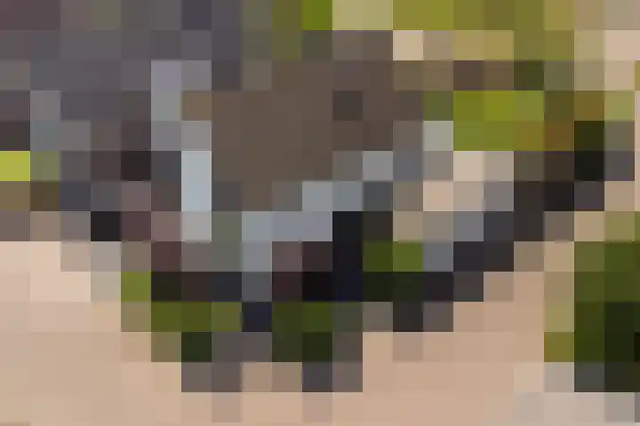 De Cope 16 Montfoort thumbnail 58