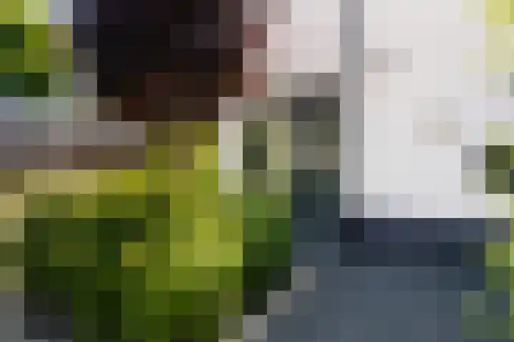 De Cope 16 Montfoort thumbnail 59