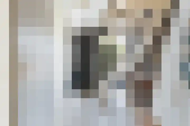 De Cope 16 Montfoort thumbnail 8