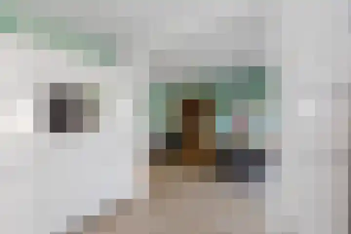 De Cope 3 Oudewater thumbnail 13