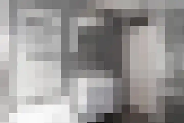 De Cope 3 Oudewater thumbnail 23