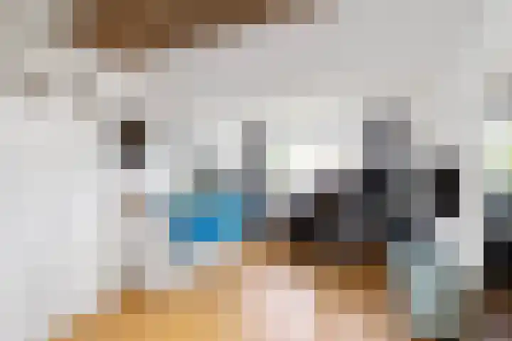 De Cope 3 Oudewater thumbnail 34