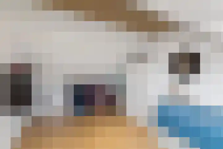 De Cope 3 Oudewater thumbnail 35