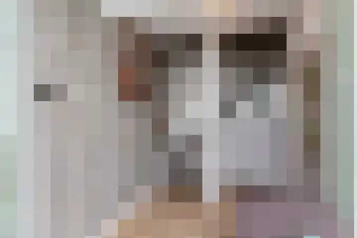 De Cope 3 Oudewater thumbnail 6