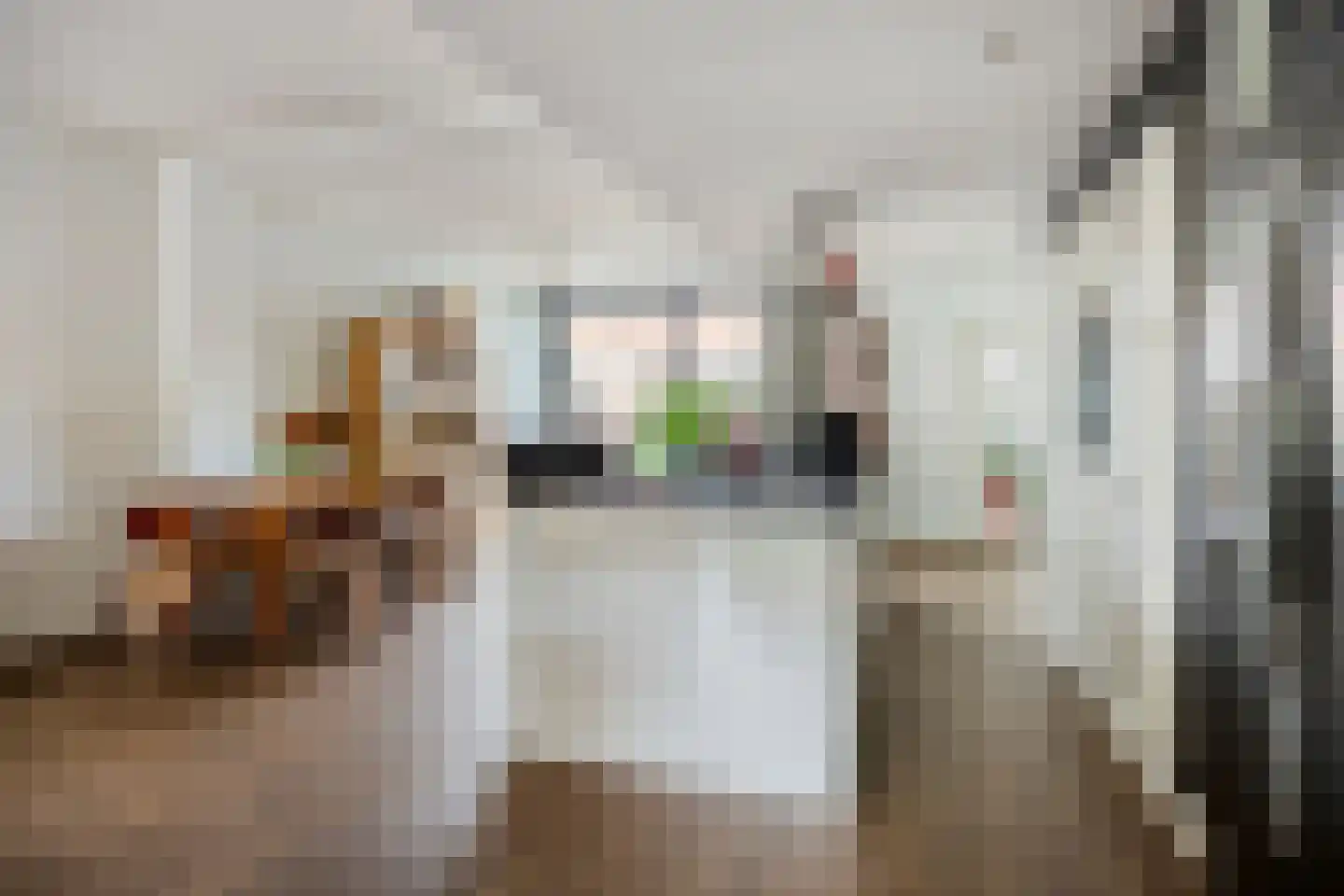 De Cordesstraat 86 Hoek van Holland thumbnail 11