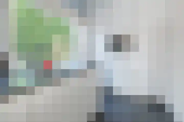 De Cotelaer 10 Barneveld thumbnail 10