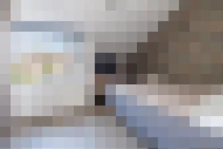 De Cotelaer 10 Barneveld thumbnail 14