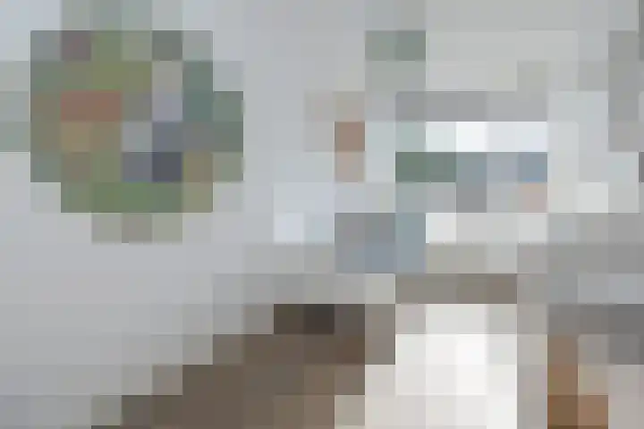 De Cotelaer 10 Barneveld thumbnail 18