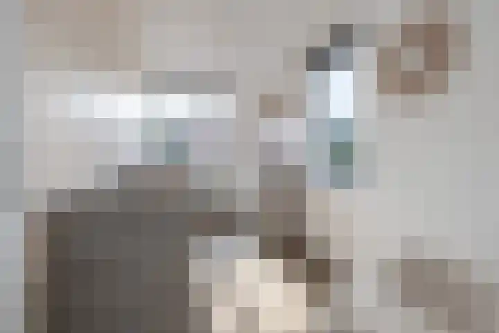 De Cotelaer 10 Barneveld thumbnail 21