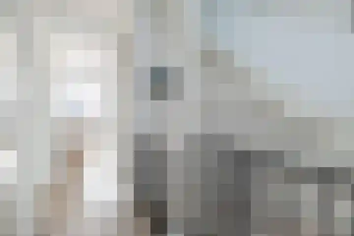 De Cotelaer 10 Barneveld thumbnail 27