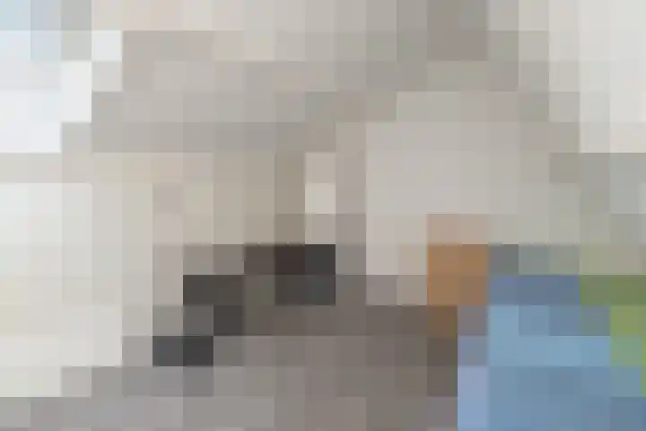 De Cotelaer 10 Barneveld thumbnail 28