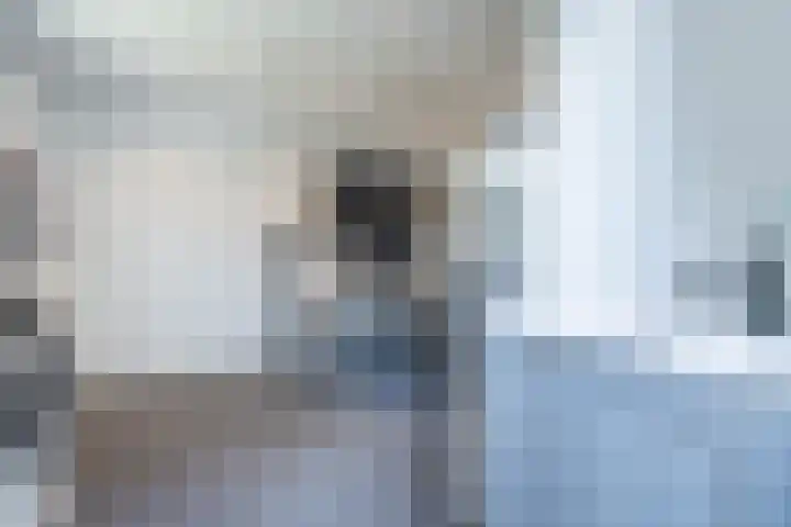 De Cotelaer 10 Barneveld thumbnail 31