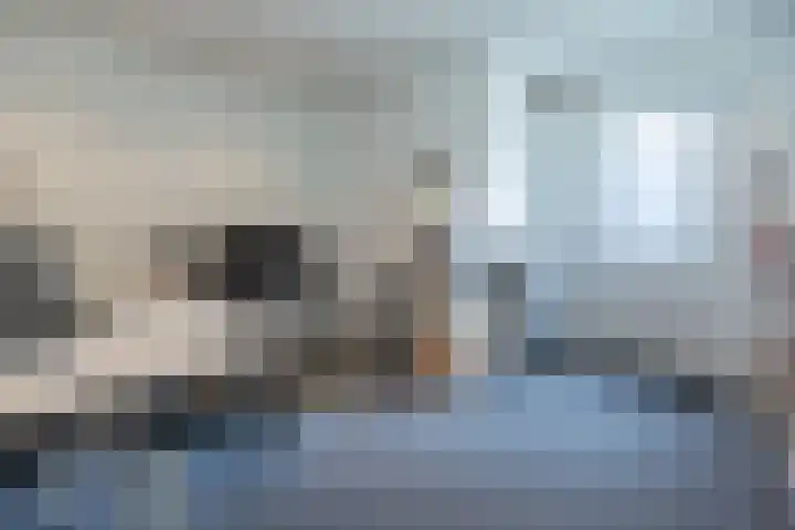 De Cotelaer 10 Barneveld thumbnail 32