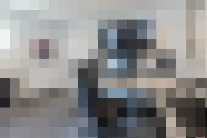 De Cotelaer 10 Barneveld thumbnail 34