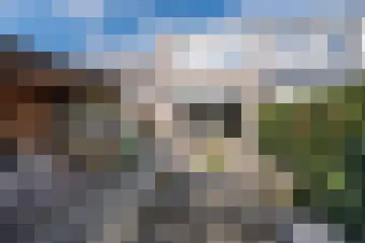 De Cotelaer 10 Barneveld thumbnail 36
