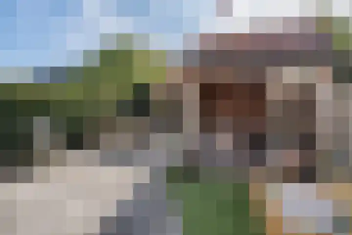 De Cotelaer 10 Barneveld thumbnail 37