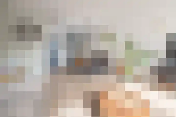 De Cotelaer 10 Barneveld thumbnail 4