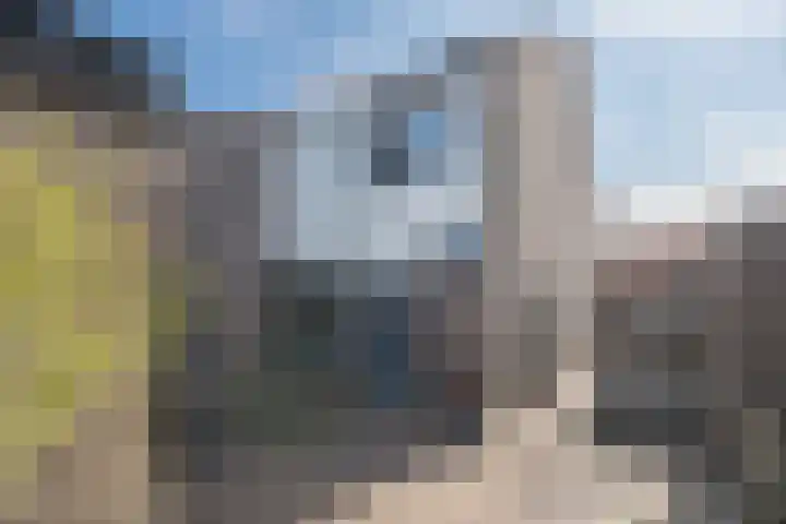 De Cotelaer 10 Barneveld thumbnail 41