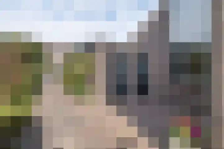 De Cotelaer 10 Barneveld thumbnail 43