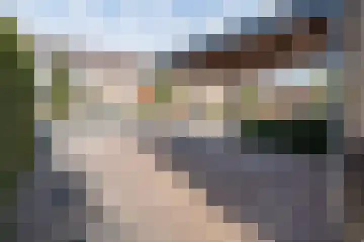 De Cotelaer 10 Barneveld thumbnail 45