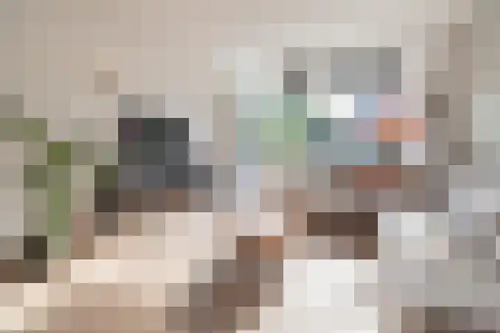 De Cotelaer 10 Barneveld thumbnail 5