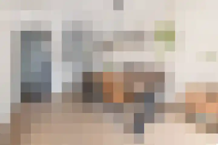 De Cotelaer 10 Barneveld thumbnail 7