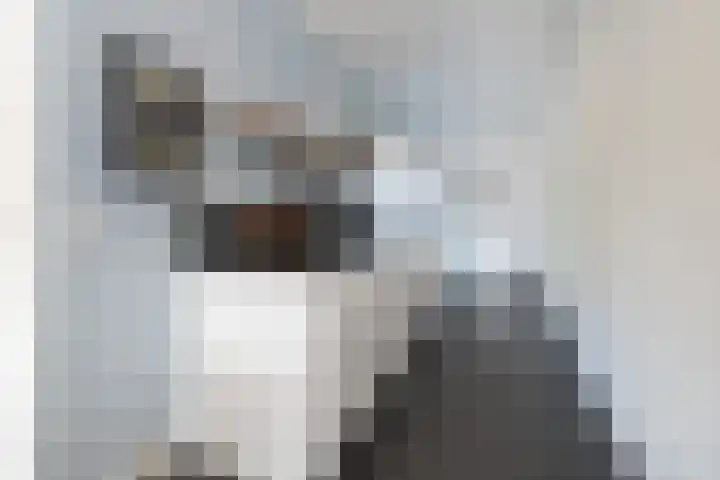 De Cotelaer 10 Barneveld thumbnail 8