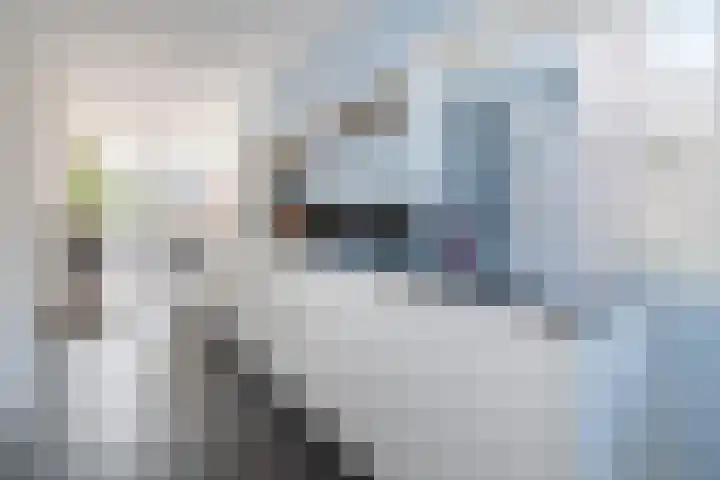 De Cotelaer 10 Barneveld thumbnail 9