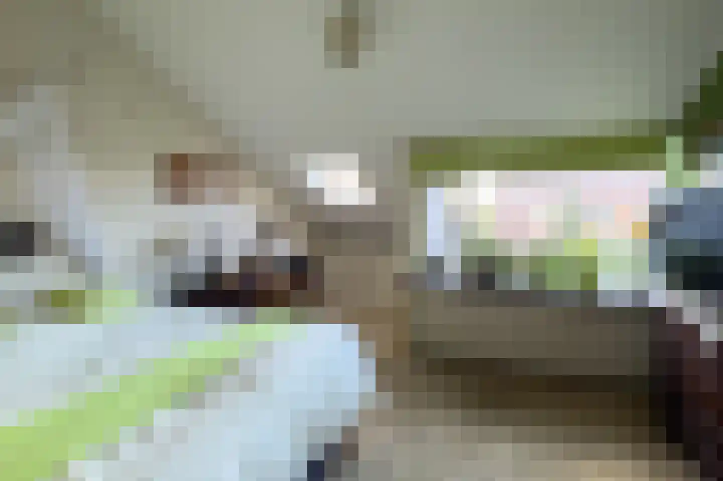 De Cotelaer 11 Barneveld thumbnail 22
